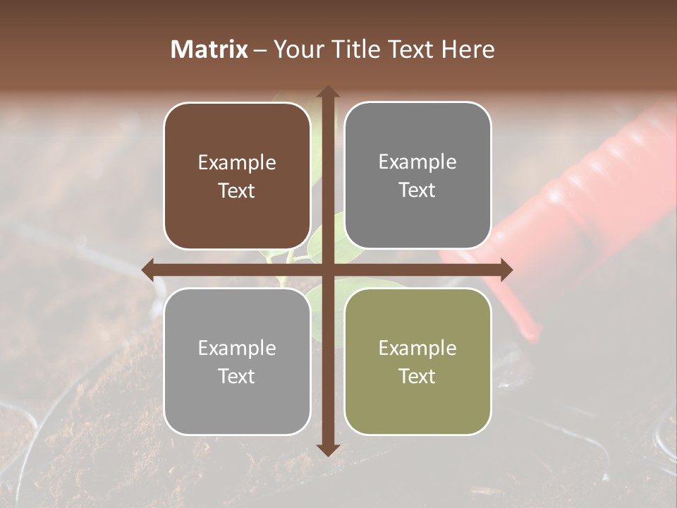 Seedling Soil Growth PowerPoint Template