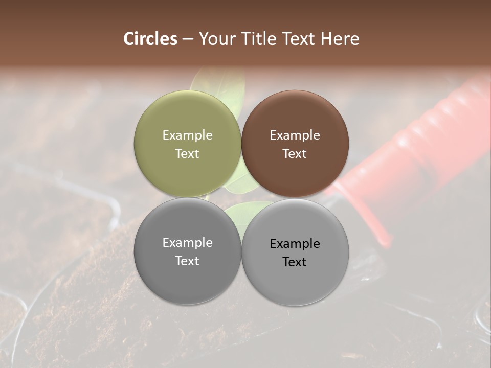 Seedling Soil Growth PowerPoint Template