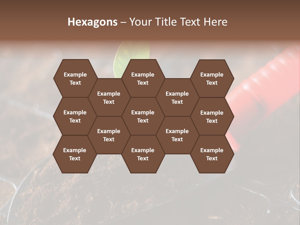 Seedling Soil Growth PowerPoint Template