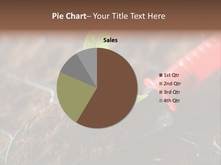 Seedling Soil Growth PowerPoint Template