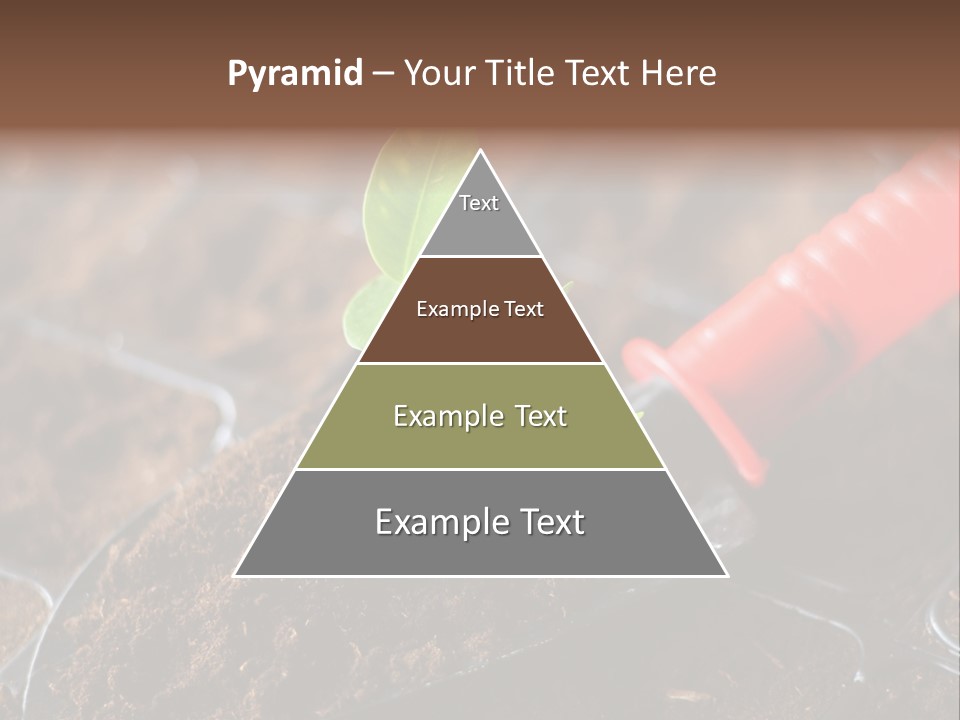 Seedling Soil Growth PowerPoint Template