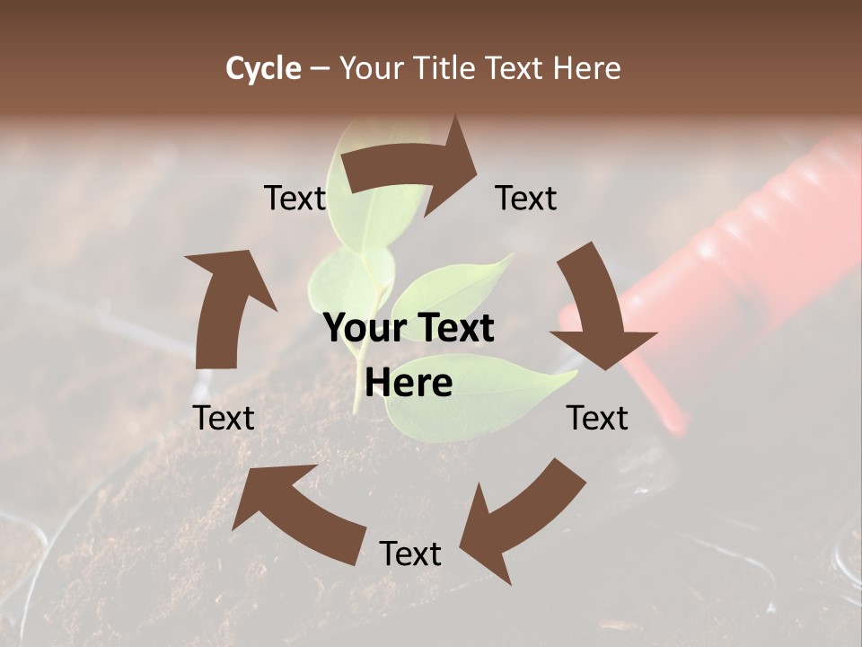 Seedling Soil Growth PowerPoint Template