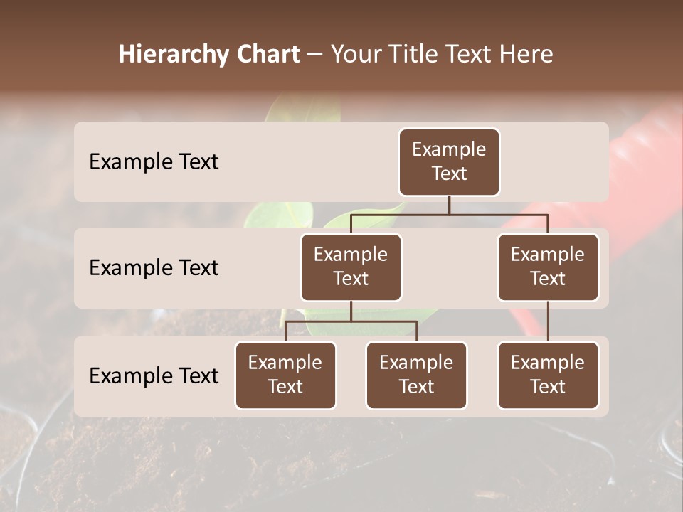 Seedling Soil Growth PowerPoint Template