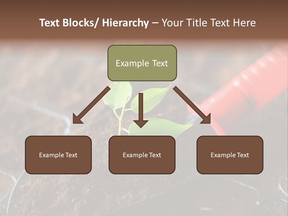 Seedling Soil Growth PowerPoint Template