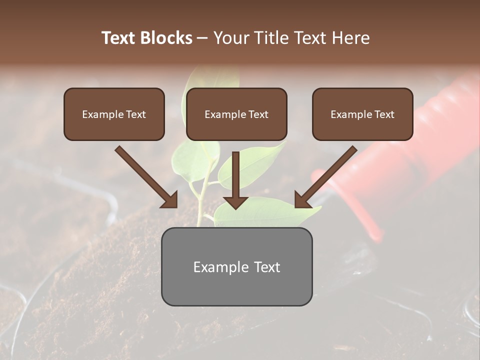 Seedling Soil Growth PowerPoint Template