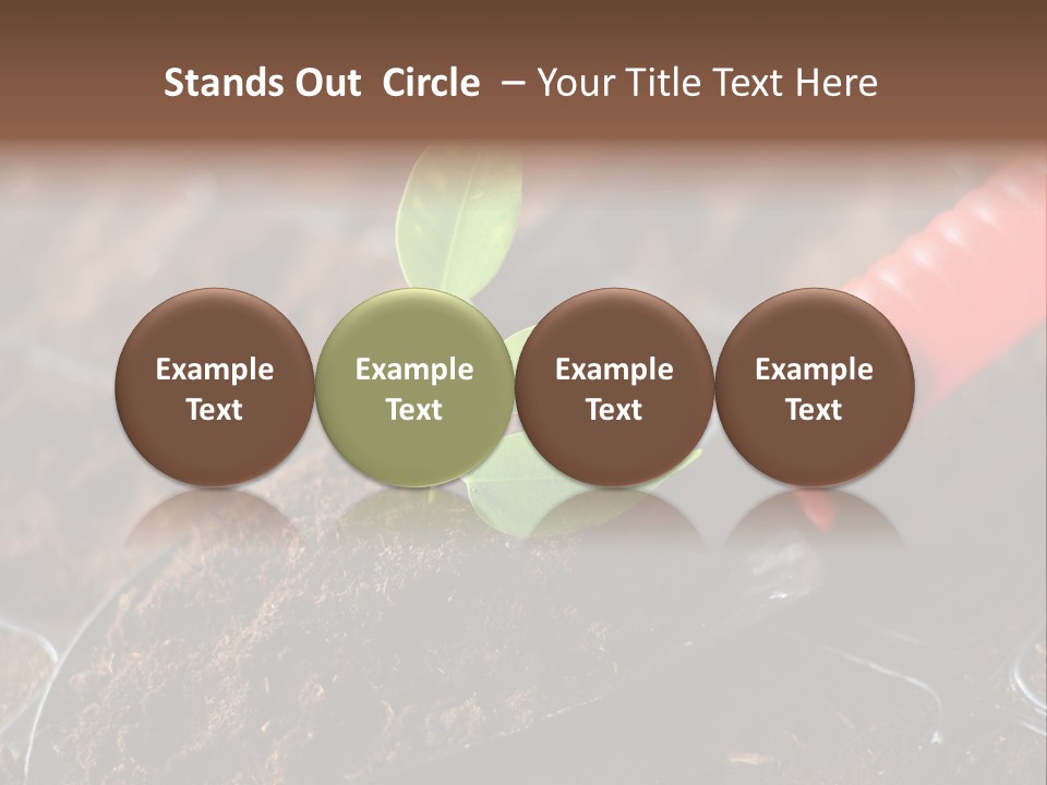 Seedling Soil Growth PowerPoint Template