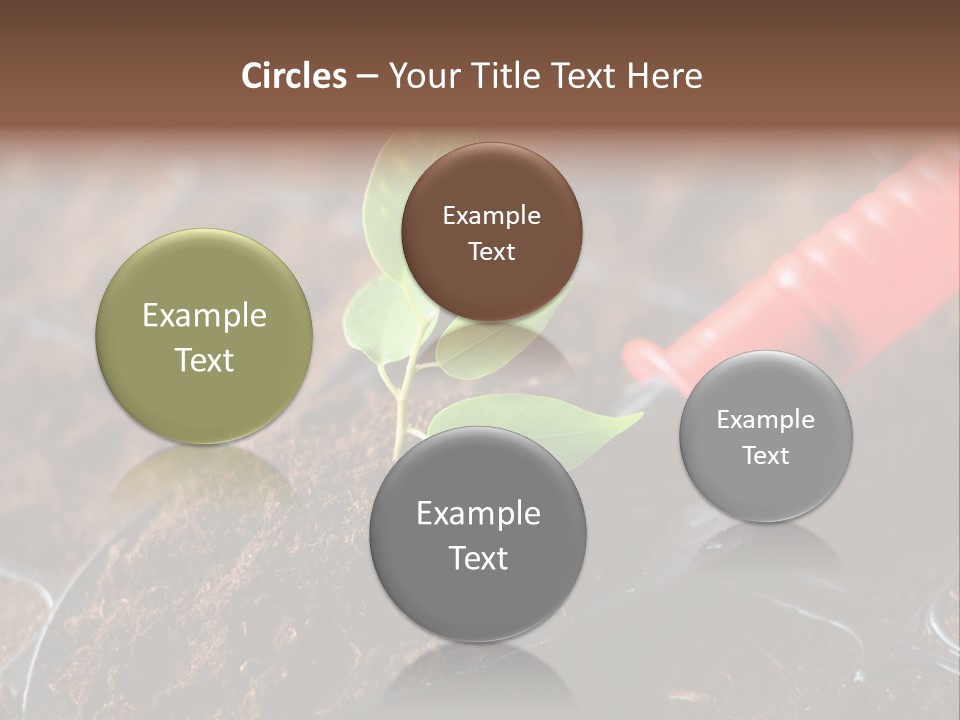 Seedling Soil Growth PowerPoint Template