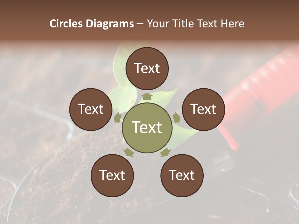 Seedling Soil Growth PowerPoint Template