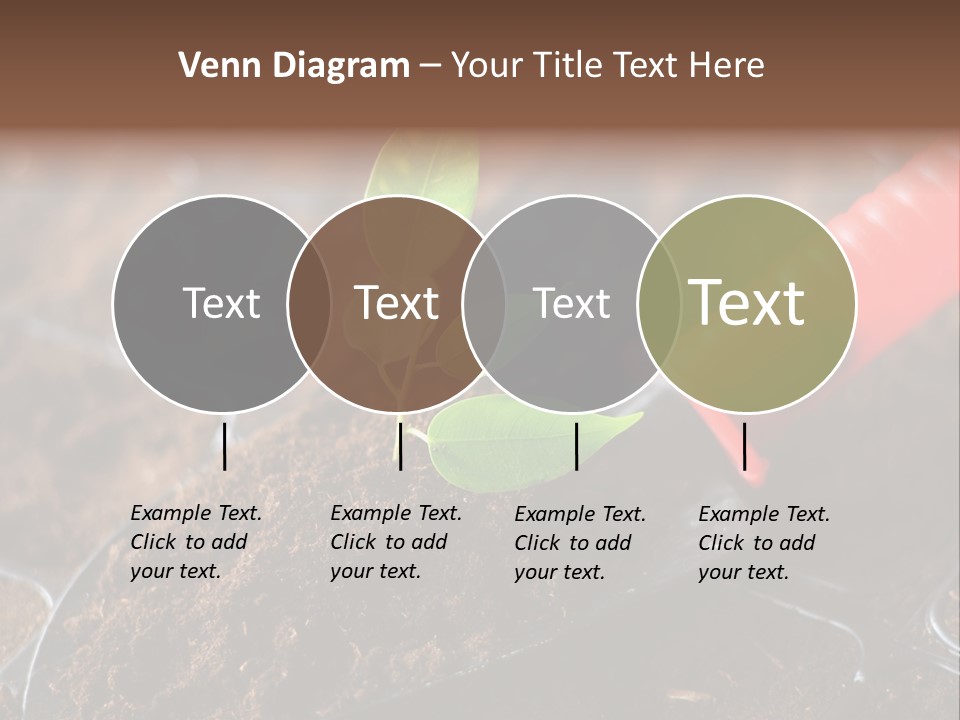 Seedling Soil Growth PowerPoint Template