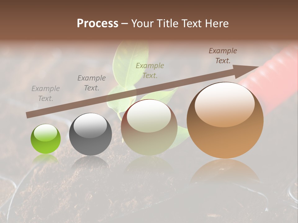 Seedling Soil Growth PowerPoint Template