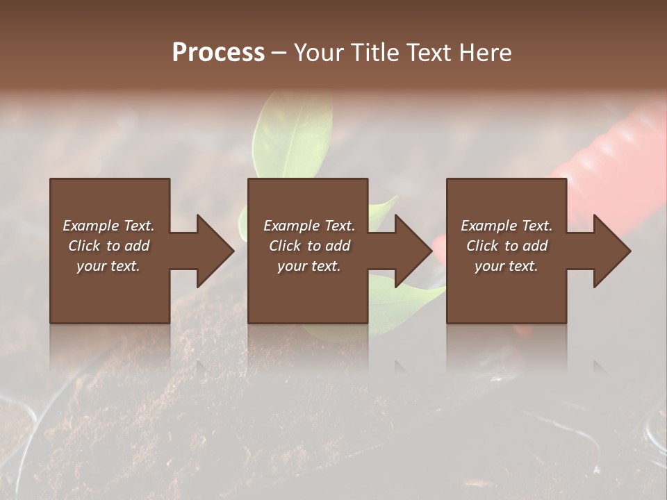 Seedling Soil Growth PowerPoint Template