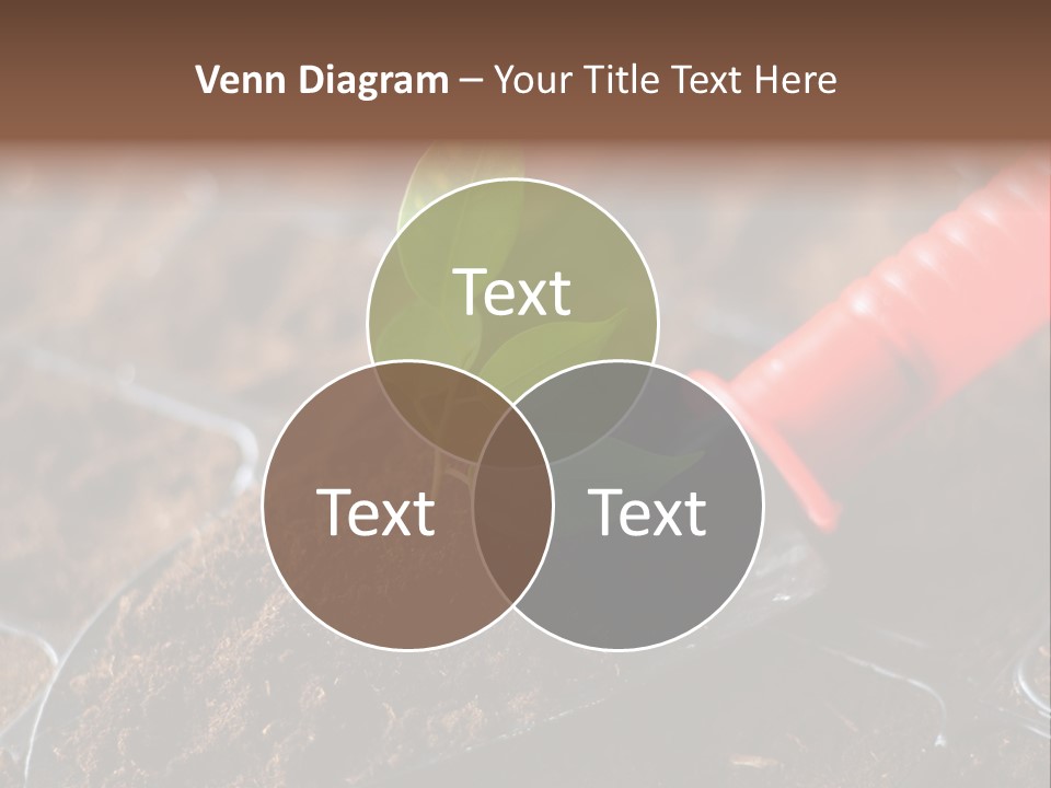 Seedling Soil Growth PowerPoint Template
