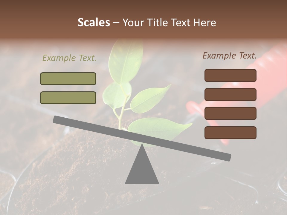 Seedling Soil Growth PowerPoint Template