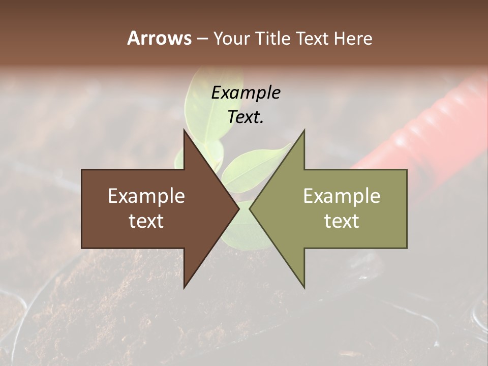 Seedling Soil Growth PowerPoint Template