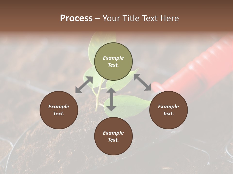 Seedling Soil Growth PowerPoint Template