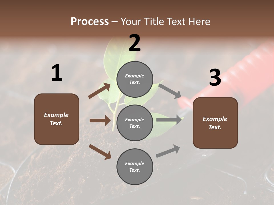 Seedling Soil Growth PowerPoint Template