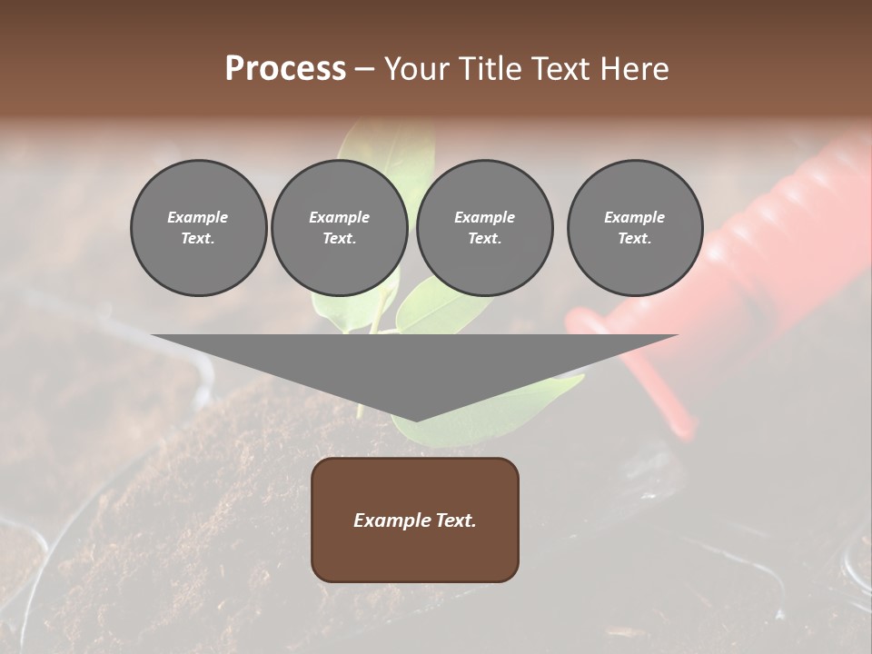 Seedling Soil Growth PowerPoint Template