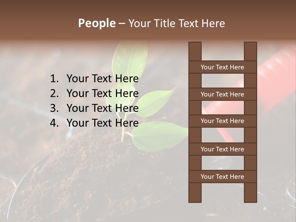 Seedling Soil Growth PowerPoint Template