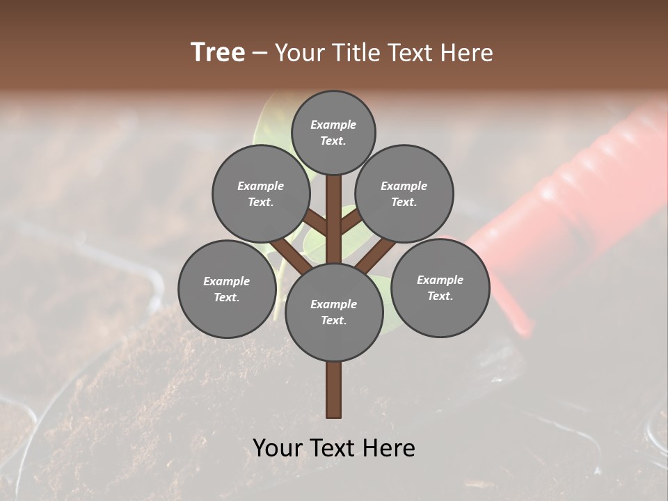 Seedling Soil Growth PowerPoint Template