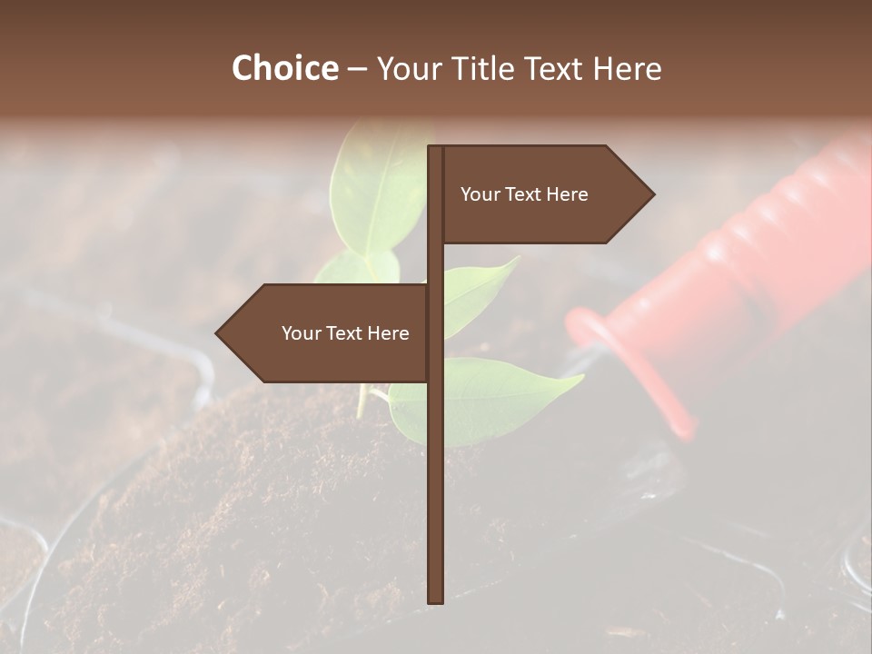 Seedling Soil Growth PowerPoint Template