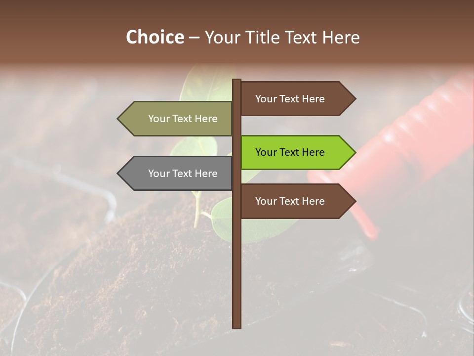Seedling Soil Growth PowerPoint Template