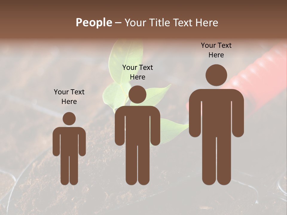 Seedling Soil Growth PowerPoint Template