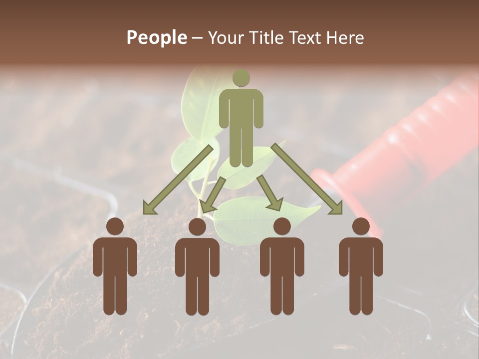 Seedling Soil Growth PowerPoint Template