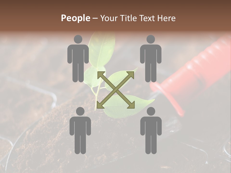 Seedling Soil Growth PowerPoint Template