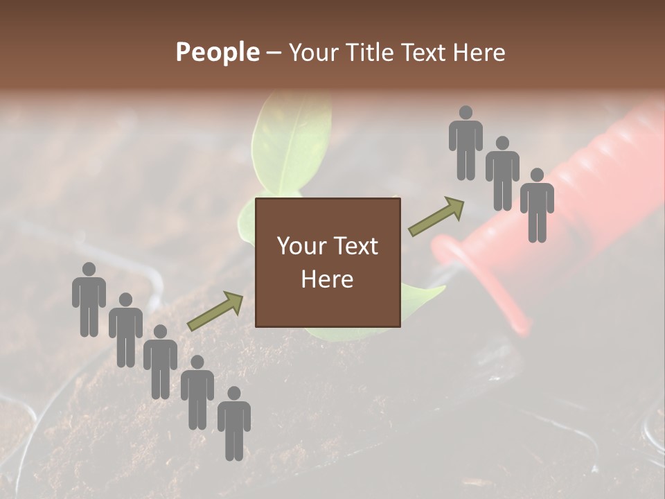 Seedling Soil Growth PowerPoint Template