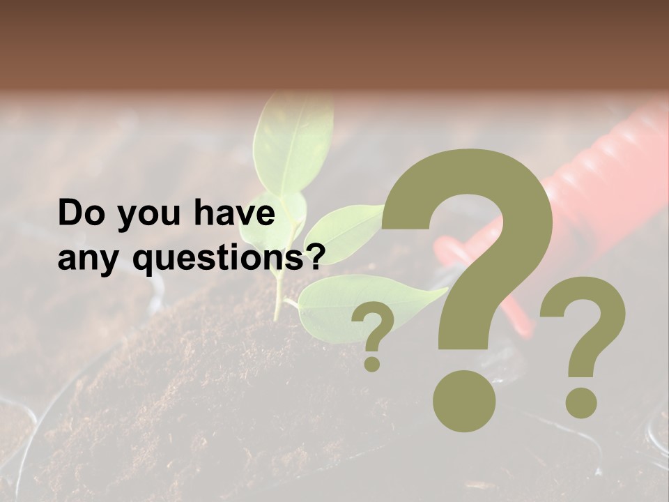 Seedling Soil Growth PowerPoint Template