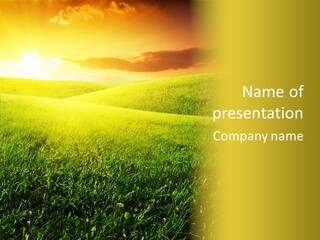 Idyllic Dark Foliage PowerPoint Template