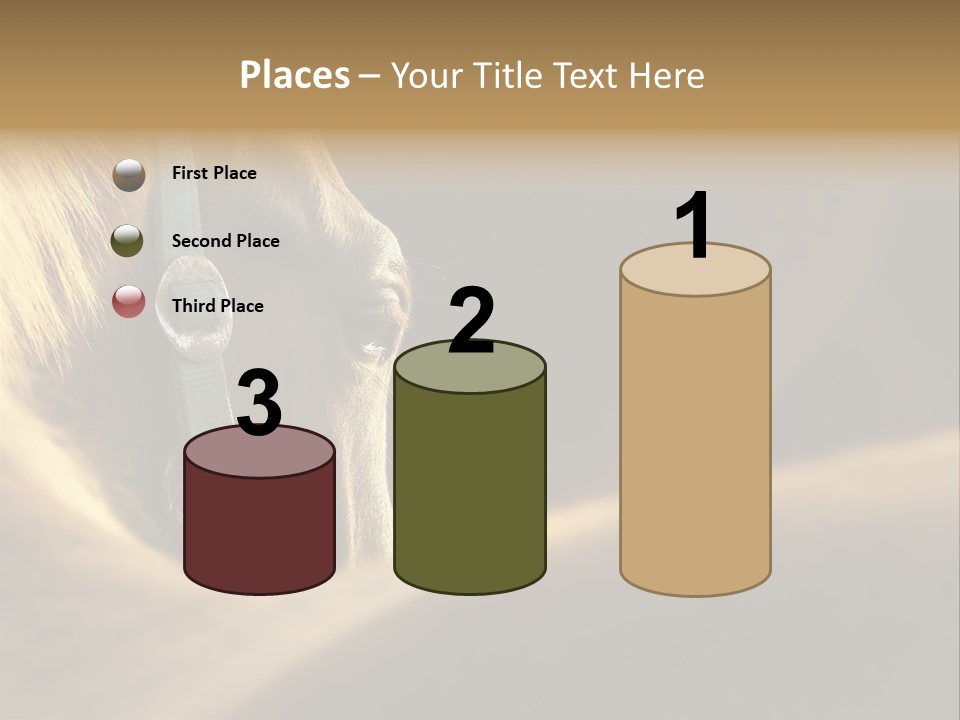 Face Stallion Outdoor PowerPoint Template