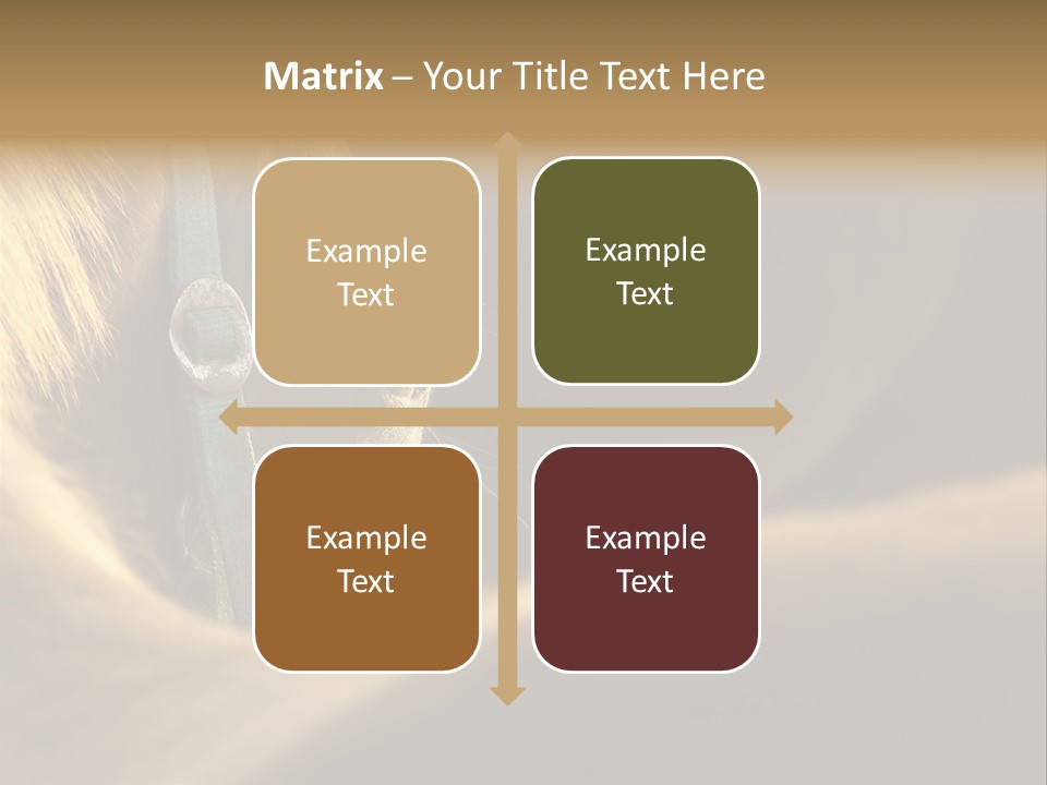 Face Stallion Outdoor PowerPoint Template