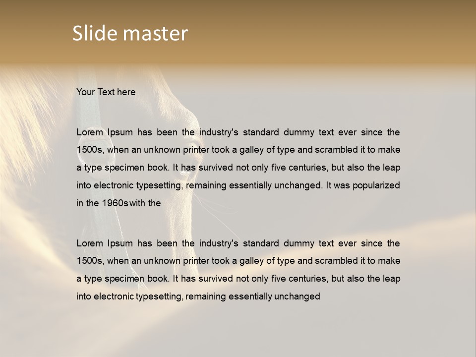 Face Stallion Outdoor PowerPoint Template