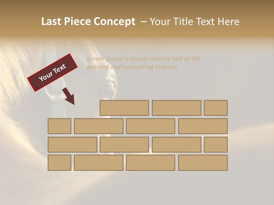 Face Stallion Outdoor PowerPoint Template