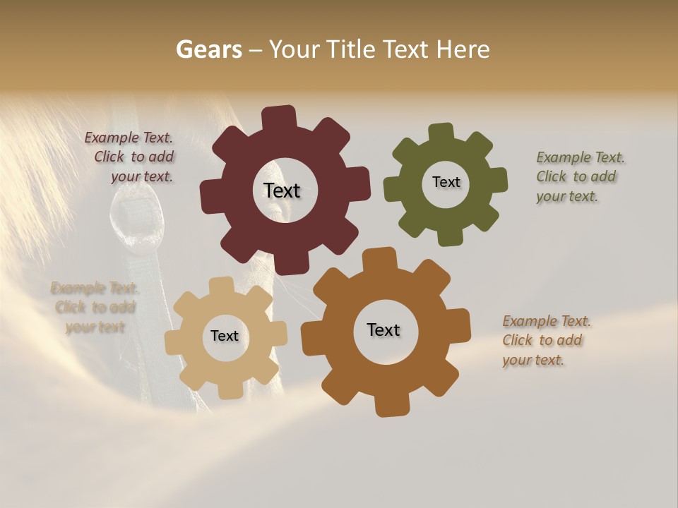 Face Stallion Outdoor PowerPoint Template