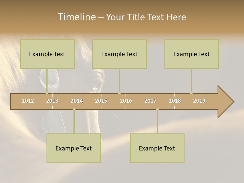 Face Stallion Outdoor PowerPoint Template