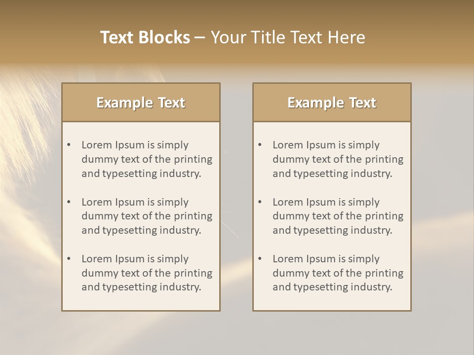 Face Stallion Outdoor PowerPoint Template