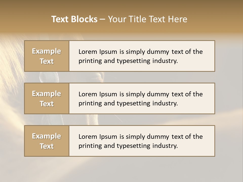 Face Stallion Outdoor PowerPoint Template