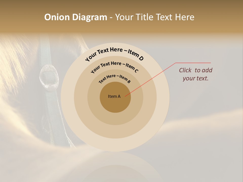 Face Stallion Outdoor PowerPoint Template