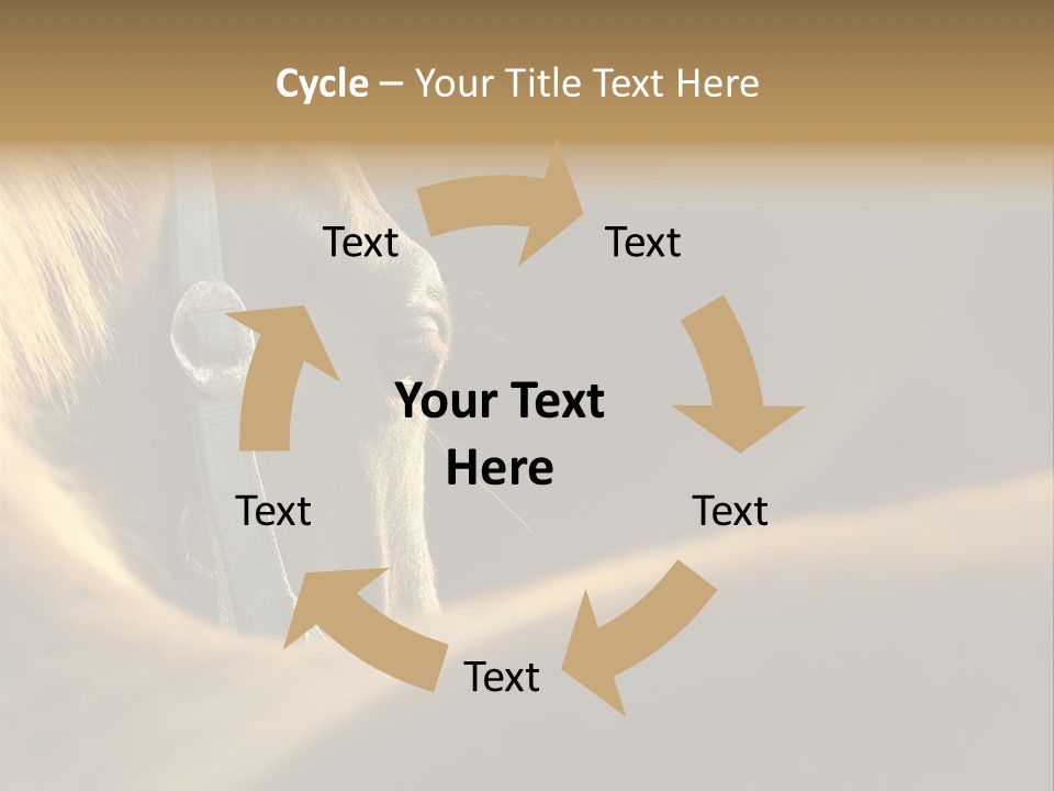 Face Stallion Outdoor PowerPoint Template