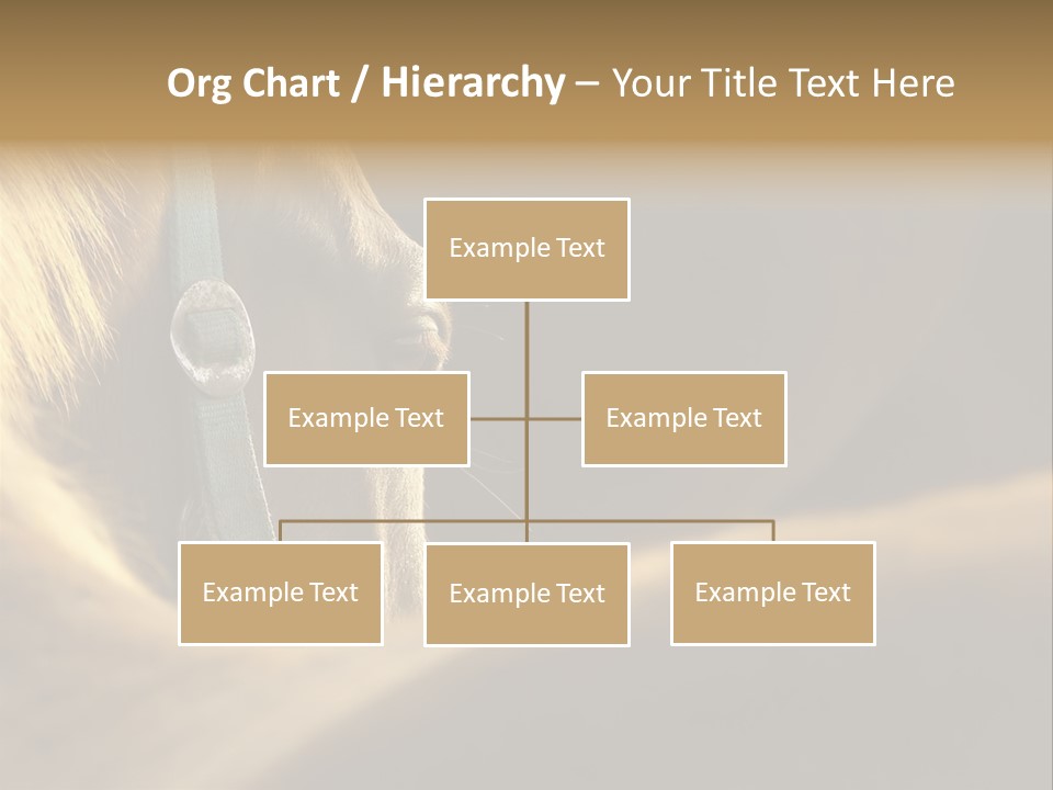 Face Stallion Outdoor PowerPoint Template