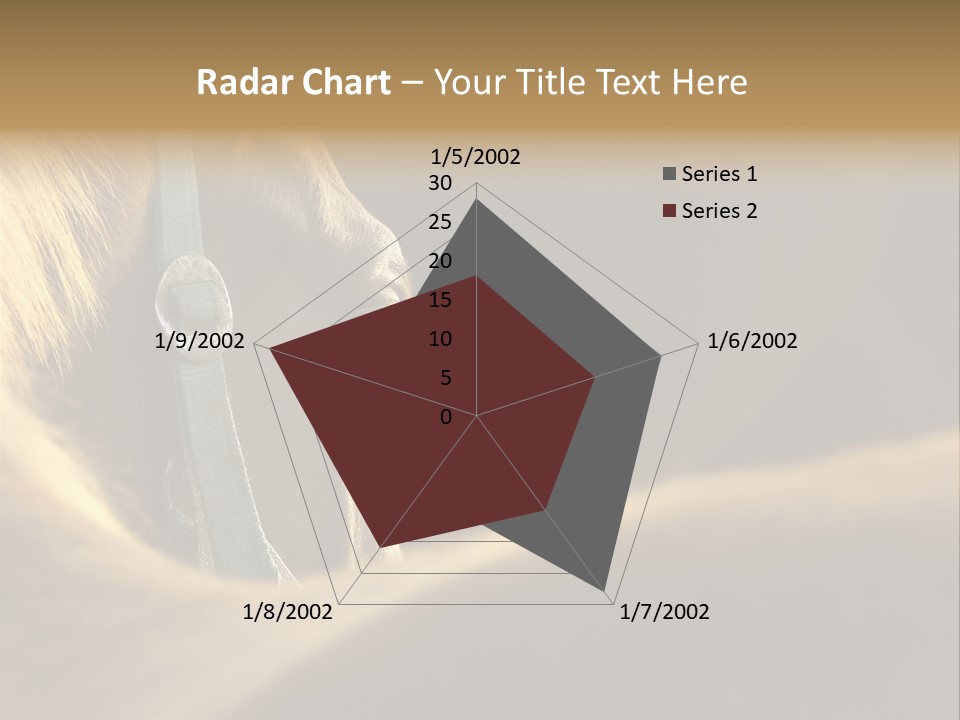 Face Stallion Outdoor PowerPoint Template