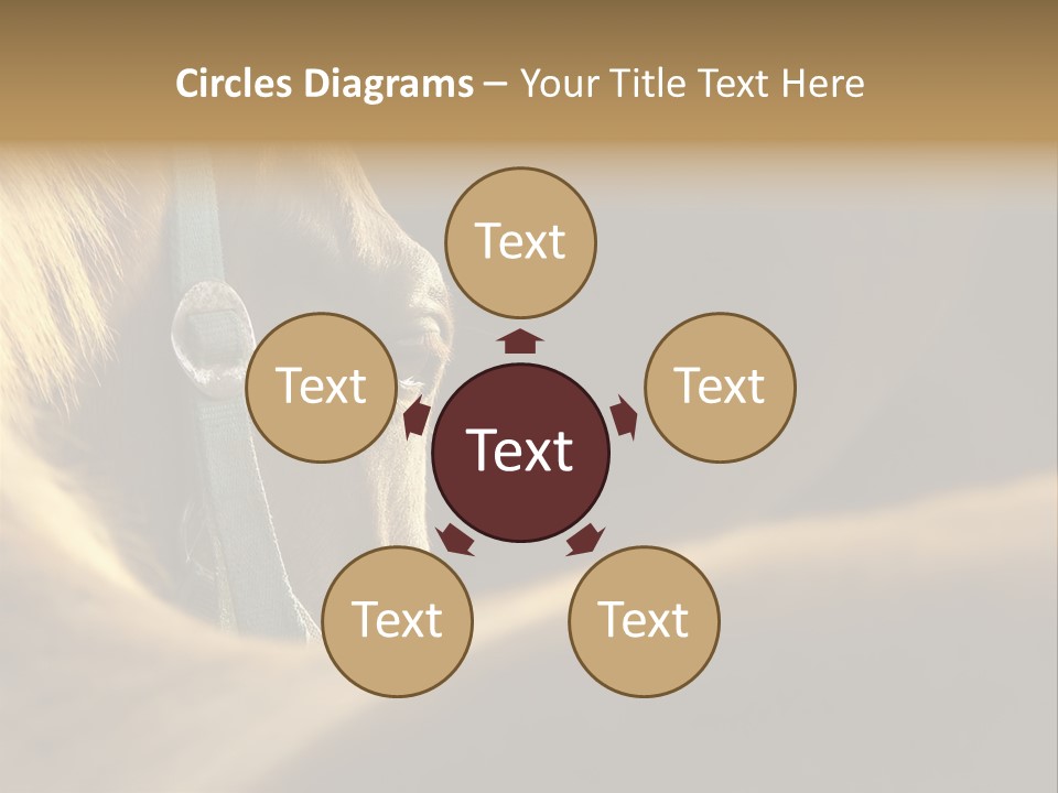 Face Stallion Outdoor PowerPoint Template