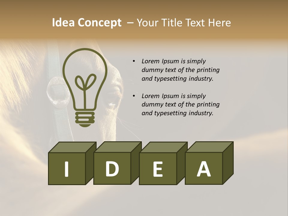 Face Stallion Outdoor PowerPoint Template