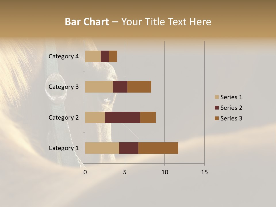 Face Stallion Outdoor PowerPoint Template