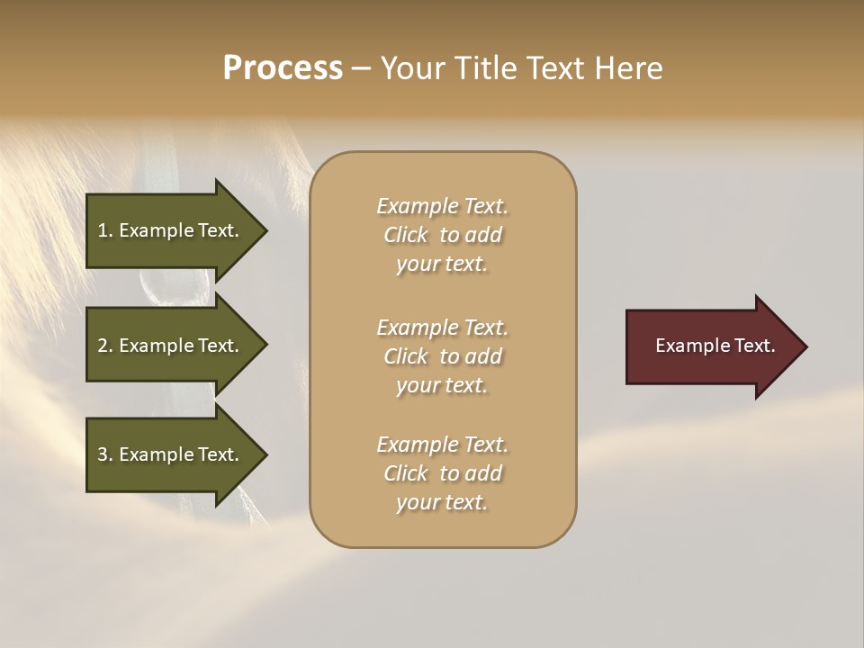Face Stallion Outdoor PowerPoint Template