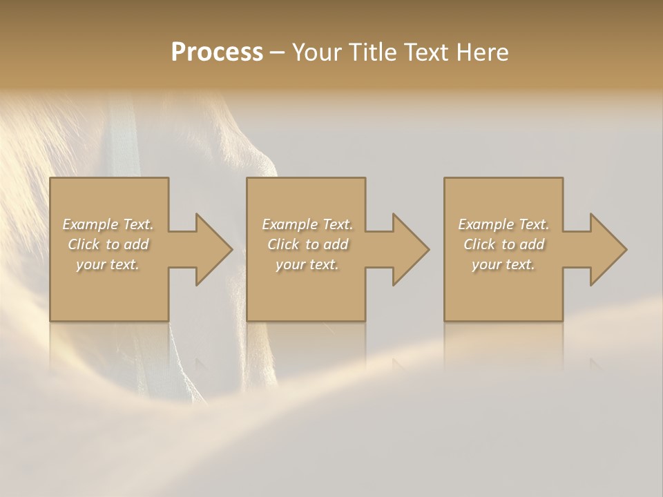 Face Stallion Outdoor PowerPoint Template