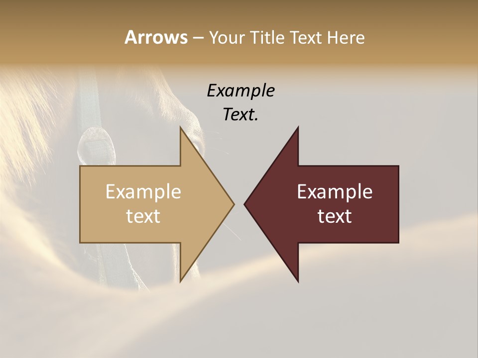 Face Stallion Outdoor PowerPoint Template