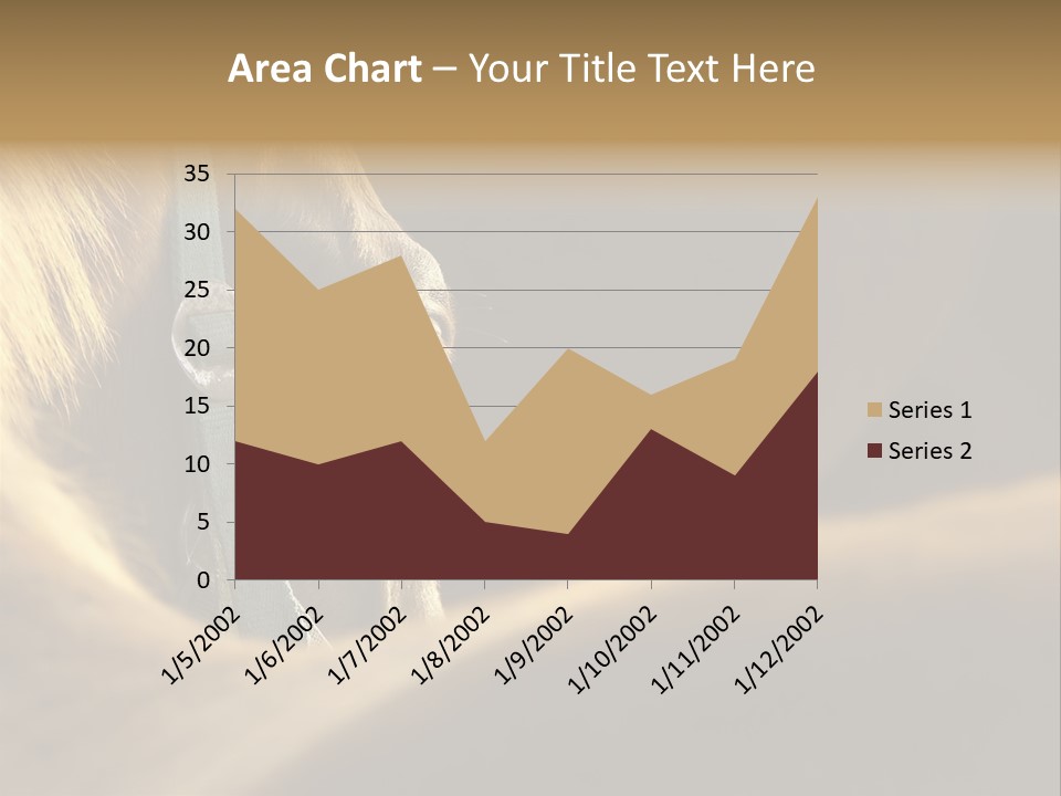 Face Stallion Outdoor PowerPoint Template
